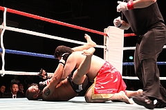 IMG_9041 IMG_9041