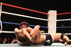 IMG_9453 IMG_9453