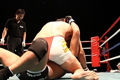 IMG_9330 IMG_9330
