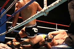 IMG_9288 IMG_9288