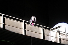 IMG_9101 IMG_9101
