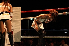 IMG_9377 IMG_9377