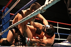 IMG_9287 IMG_9287