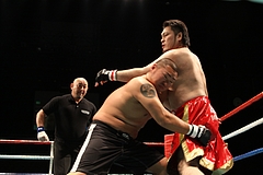 IMG_8946 IMG_8946