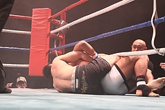 IMG_9608 IMG_9608