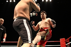 IMG_8941 IMG_8941