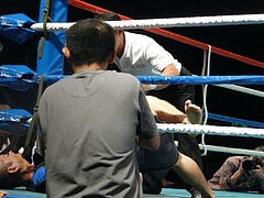 P1170355 P1170355