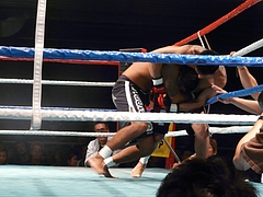 Neoくまページ 総合格闘技 Livedoor Blog ブログ