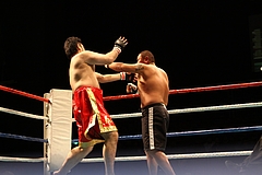 IMG_8973 IMG_8973