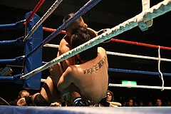 IMG_9284 IMG_9284