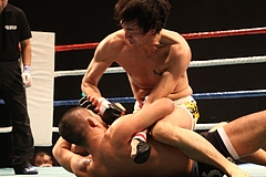 IMG_9428 IMG_9428
