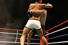 IMG_9599 IMG_9599