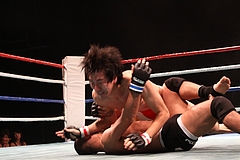 IMG_9420 IMG_9420