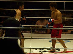 P1140737 P1140737