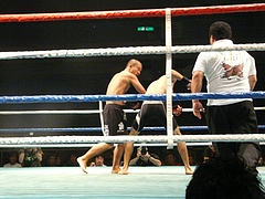 P1170555 P1170555