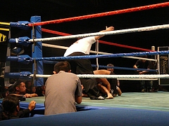 P1170552 P1170552