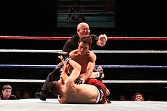 IMG_9175 IMG_9175