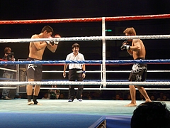 P1170262 P1170262