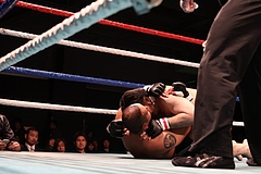 IMG_8986 IMG_8986
