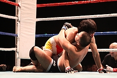 IMG_9406 IMG_9406