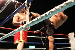 IMG_8981 IMG_8981