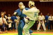 ±óÆ£_Ê¿°Â ¹§¹Ô vs. ¹õÀî2006