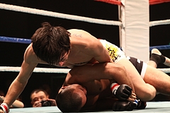 IMG_9437 IMG_9437
