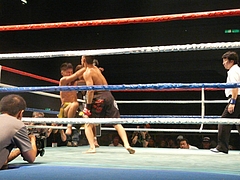 P1170777 P1170777