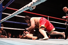 IMG_8984 IMG_8984
