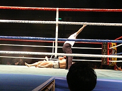 P1170238 P1170238