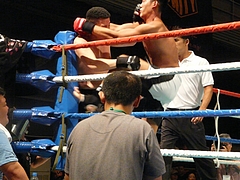 P1170082 P1170082