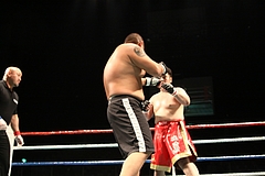 IMG_9009 IMG_9009