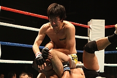 IMG_9452 IMG_9452