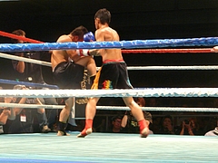 P1170150 P1170150