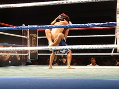 P1170162 P1170162