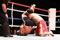 IMG_9044 IMG_9044