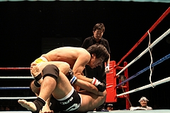 IMG_9332 IMG_9332