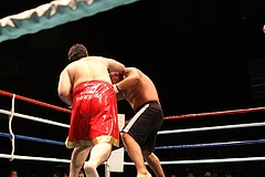 IMG_8955 IMG_8955