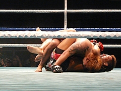 P1170700 P1170700