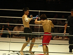 P1140750 P1140750