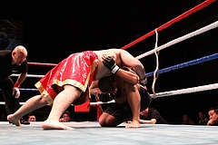 IMG_8948 IMG_8948