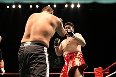 IMG_8942 IMG_8942