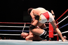 IMG_9334 IMG_9334