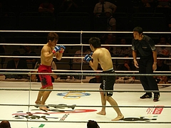 P1140740 P1140740