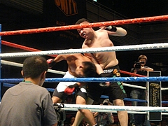 P1170084 P1170084