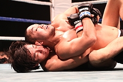 IMG_9435 IMG_9435