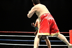 IMG_9018 IMG_9018