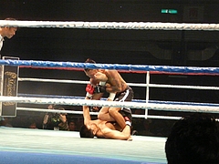 P1170439 P1170439