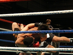 P1170078 P1170078