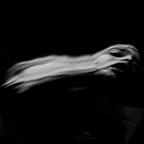 DIR EN GREY 落ちた事のある空 ぴあアリーナMM特別仕様 落ちた事のある空 ぴあアリーナMM特別仕様 / DIR EN GREY : [world end.]